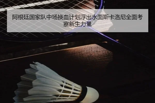 阿根廷国家队中场换血计划浮出水面斯卡洛尼全面考察新生力量
